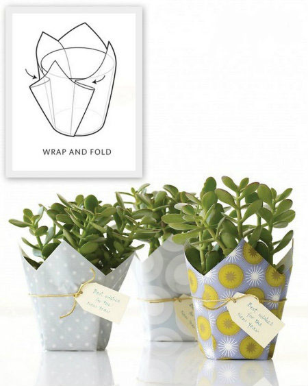 Wrap & Fold Plant Gift 
