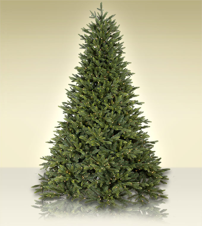 Flagstaff Fir Christmas Tree (Tree Time)