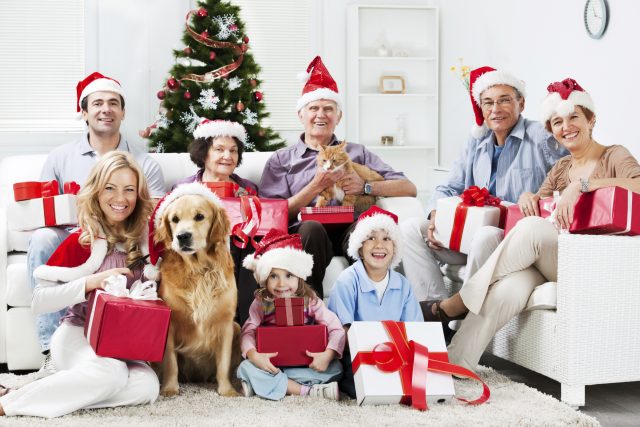 Top 10 Best Holly-Ho Christmas Party Ideas for Family In 2018